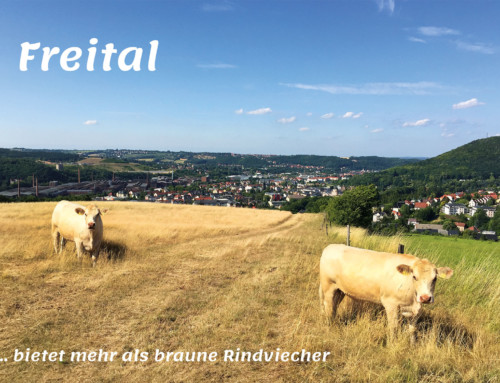 Postkarte 3 „Freital bietet mehr als braune Rindviecher“